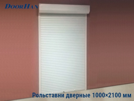 Рольставни на двери 1000×2100 мм в Перми от 28786 руб.