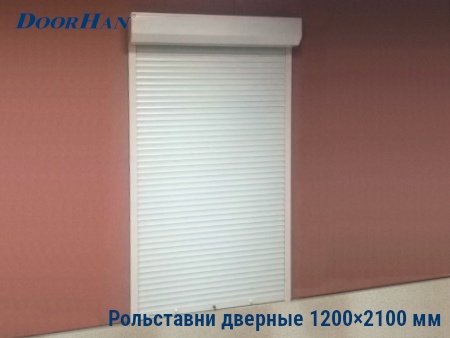 Рольставни на двери 1200×2100 мм в Перми от 31709 руб.