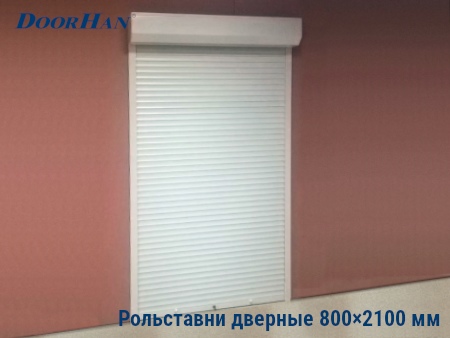 Рольставни на двери 800×2100 мм в Перми от 25863 руб.